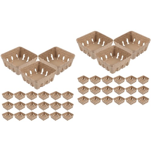 Reusable paper pulp fruit - pulp,
