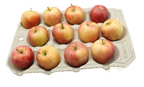 Apple trays for storing apples - apple,